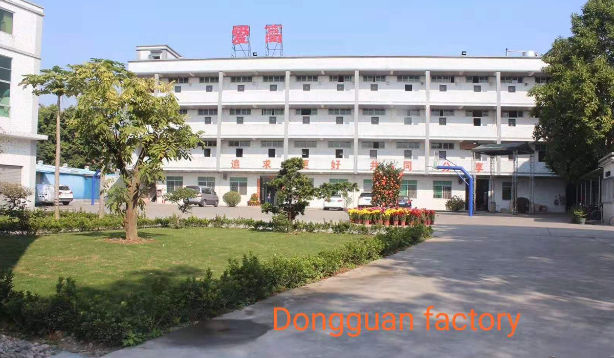 La nuova fabbrica di FDB in enping, citt&agrave; di Jiangmen